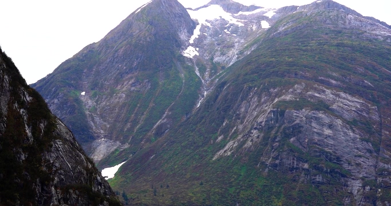 Montagna rocciosa ricoperta di muschio nel fiordo di Tracy Arm, Alaska.