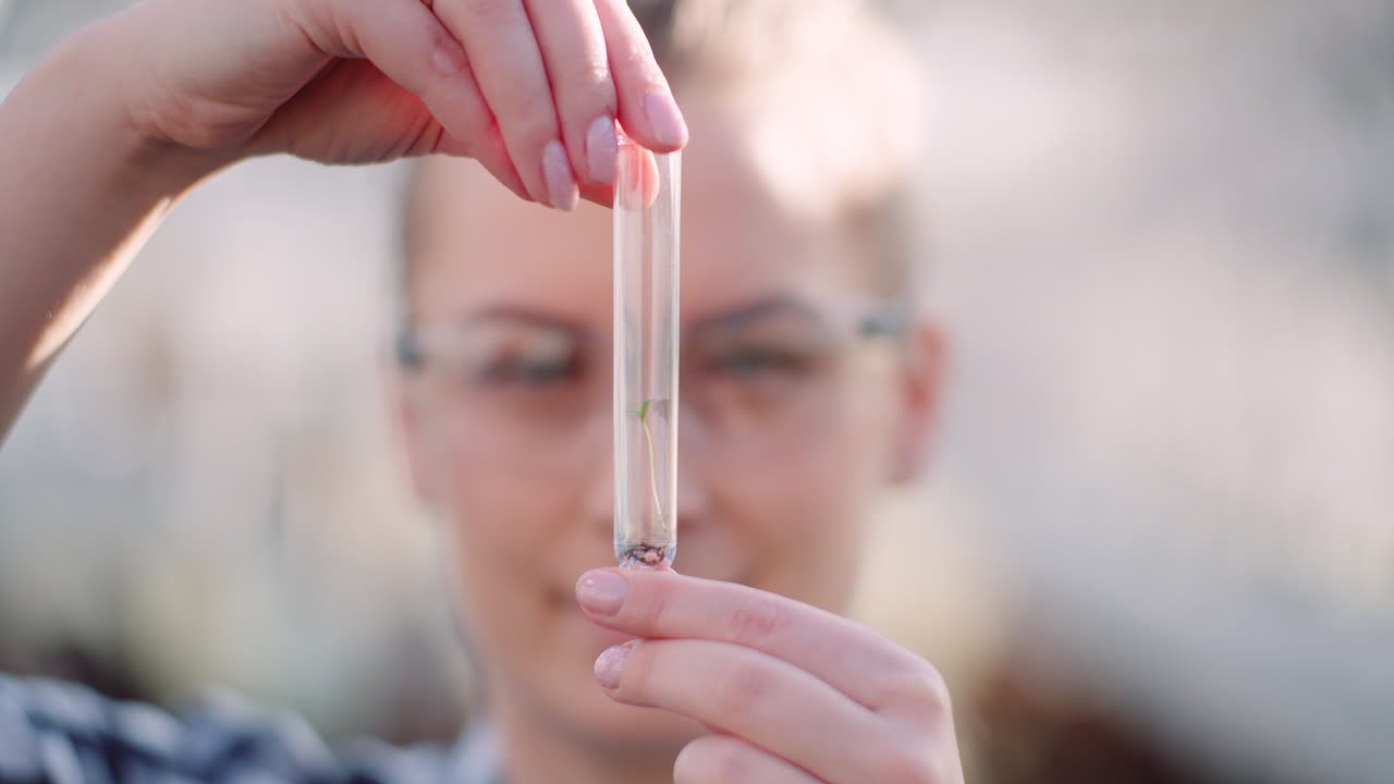 botánico examinando plantas en el invernadero 5