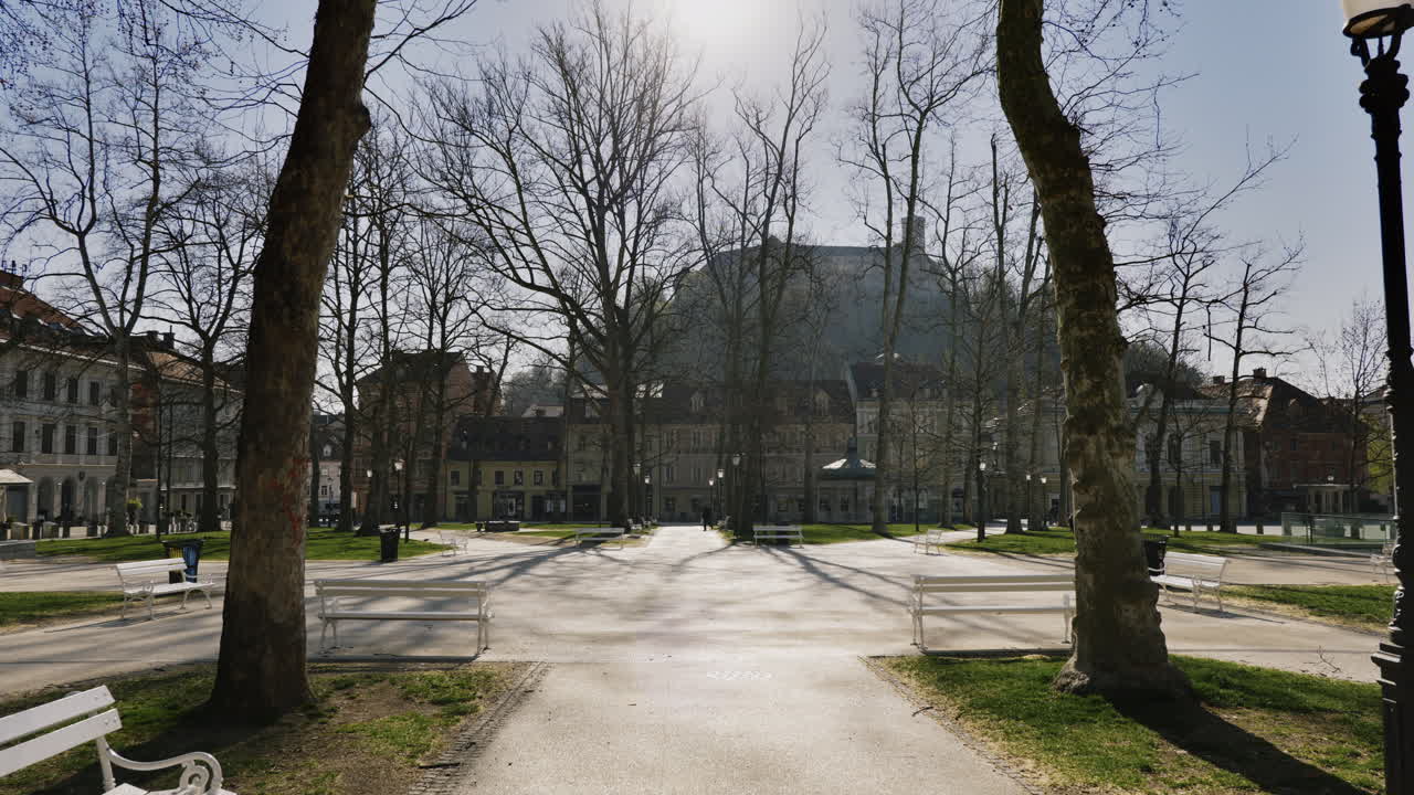 City Park on a Sunny Day