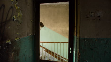 scary clown in abandoned house