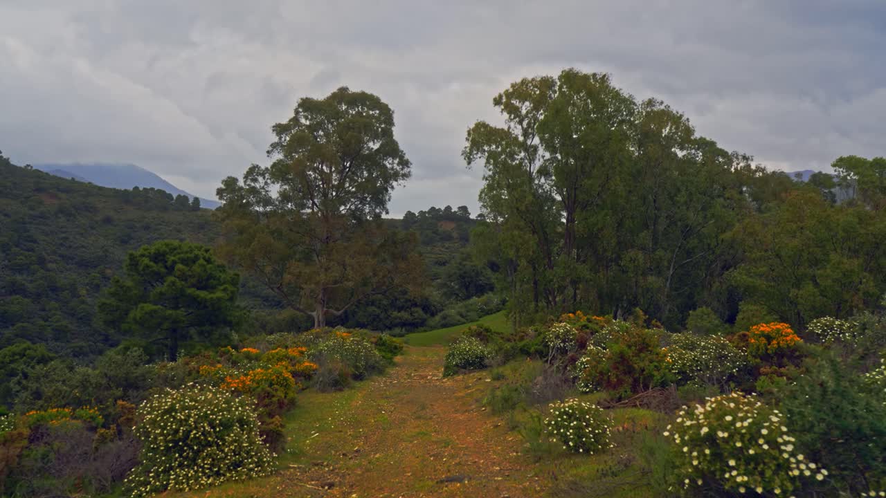caminando lentamente hacia adelante en un sendero de montaña en un día nublado