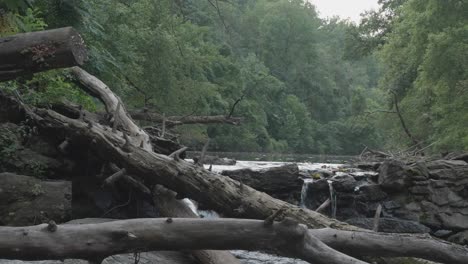 位於費城的威薩希康溪 (wissahickon creek)