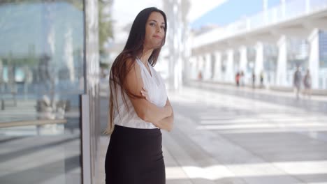 sofisticada mujer de negocios en el paseo marítimo