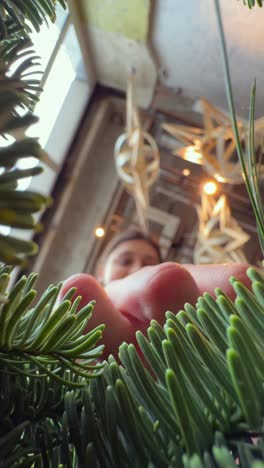 person looking into christmas tree