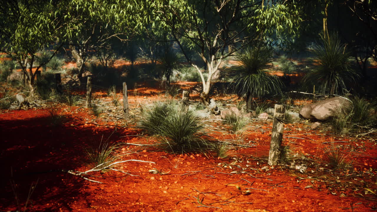 detalle de la vieja valla rural con un enfoque poco profundo