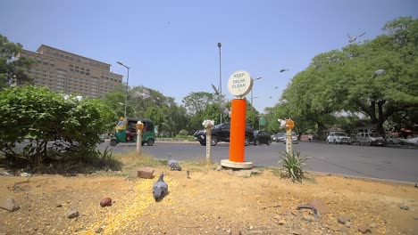 las palomas toman vuelo sobre la intersección india