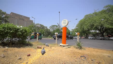 pigeons take flight over indian intersection