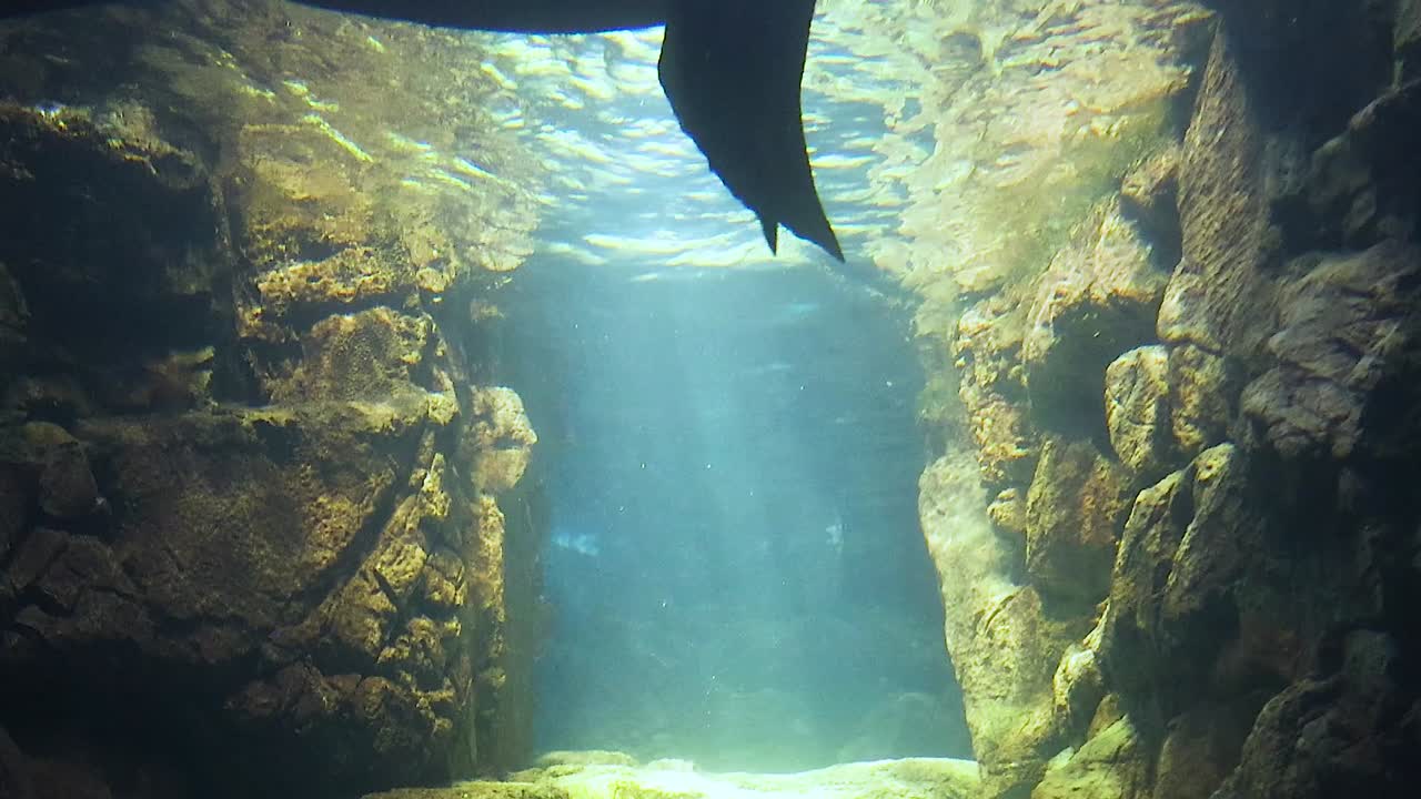 A serene underwater scene with sunlight streaming through rocky formations, creating a tranquil aquatic atmosphere.