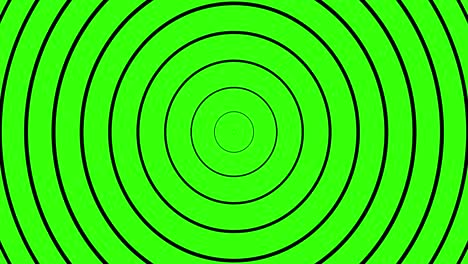 decreasing line circles. animation of ellipses. movement and increase in circles. seamless looping. background animation. green screen. 4k