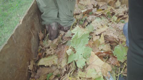 women prepare a home wooden compost heap box. they with their feet crush the organic waste.
