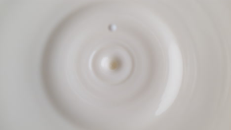 milk drop dripping onto the white liquid surface making splash crown and ripples in macro and slow motion