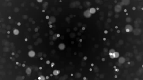 bucle sin costuras bokeh borroso círculo blanco negro partícula flotante
