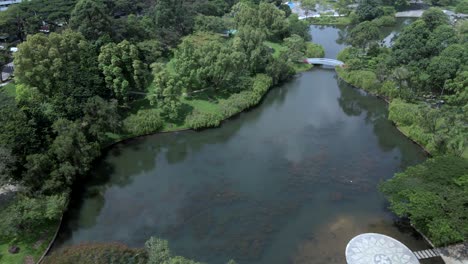 Vista-Aérea-De-Un-Estanque-Tranquilo-En-Un-Parque---Disparo-De-Drones