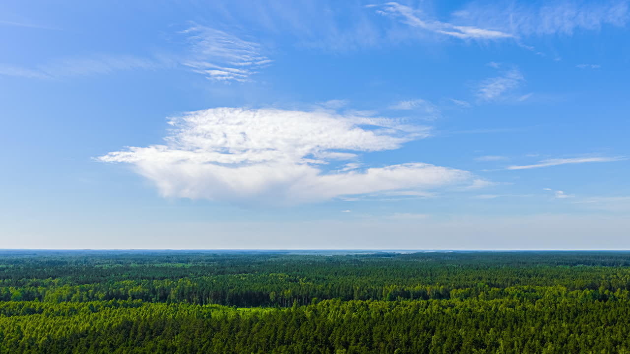 Aerial View of Forest under Blue Sky with Clouds