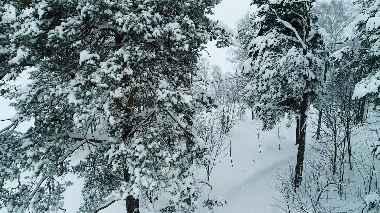 겨울 풍경. 공중 사진