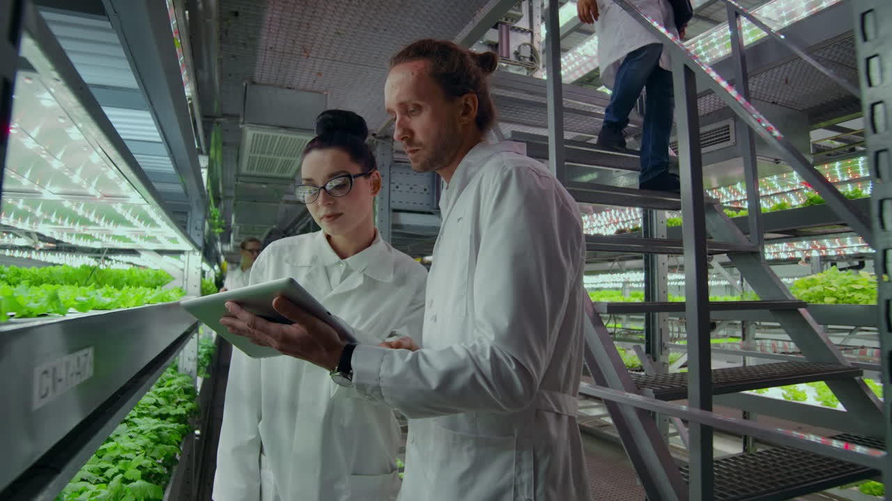 A group of engineers in white coats walk on the modern vertical farm of the future with laptops and tablets in their hands studying and discussing the results of the growth of green plants