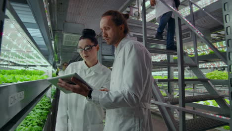 a group of engineers in white coats walk on the modern vertical farm of the future with laptops and tablets in their hands studying and discussing the results of the growth of green plants