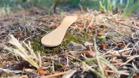 Ameisen,-Die-Zweige-Und-Strohhalme-Um-Einen-Eisstiel-Herumtragen-Und-Gelegentlich-Umherstreifen