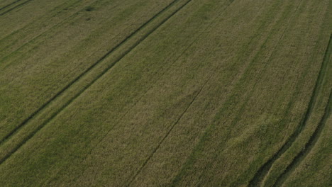 Grüne-Wiesen-Und-Felder-Umgeben-Von-Wald