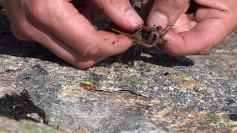 red earthworms twisting while threaded on sharp fishing hook, closeup