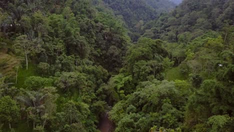 Cascada-Nungnung-En-Medio-De-Bali,-Indonesia