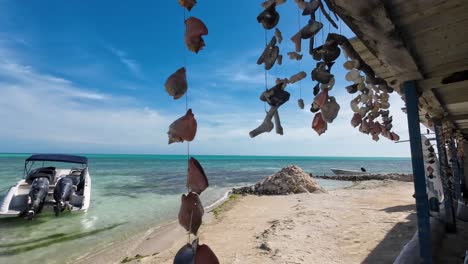 Beach-scene-seashell,-snails-and-boat-moored-coastline-Carenero-island,-pan-left