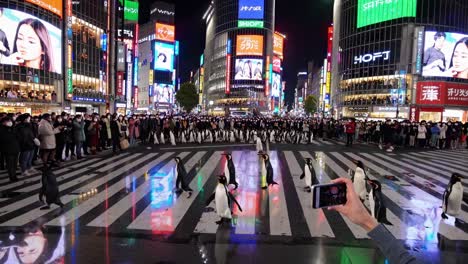 penguins crossing shibuya crossing at night