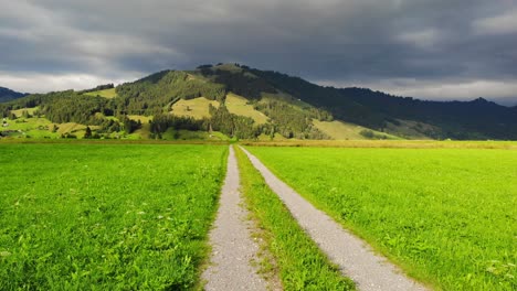 Serene-alpine-dirt-road-amid-green-pasture-in-Switzerland-on-rainy-day,-aerial