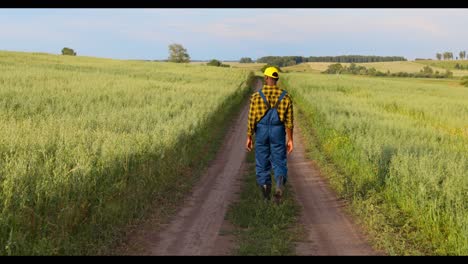 farmer walking in a field