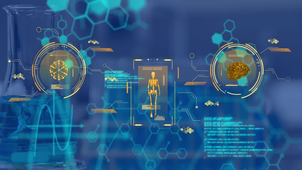 인간의 뇌와 신체의 애니메이션과 과학적 데이터 처리