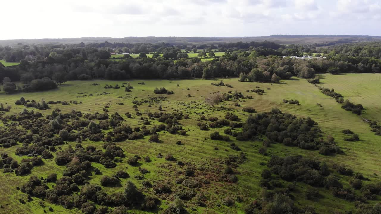 Drone view of New Forest National Park with green fields, bushes and trees, a cloudy sky and a forest in the background, in Hampshire, England, UK