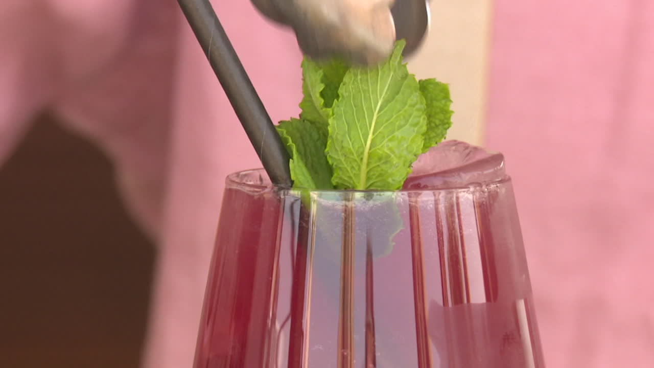 Purple Cocktail with Mint