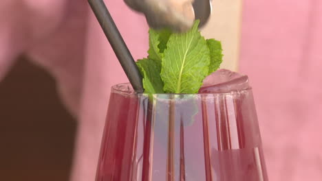 purple cocktail with mint