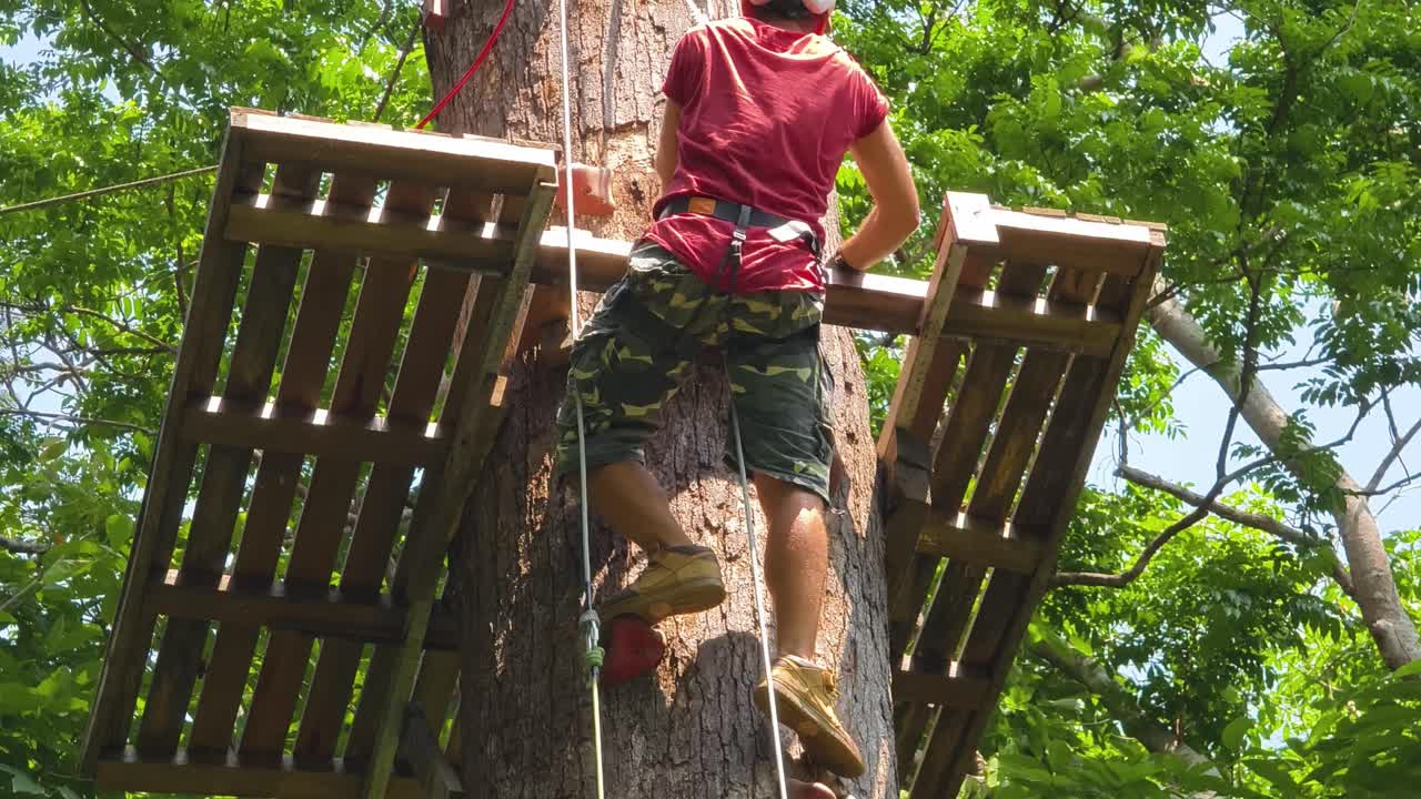 Person Climbing a Treetop Adventure Course