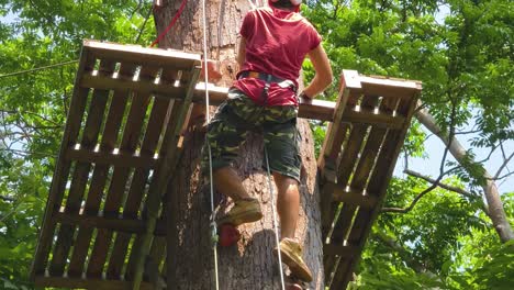 person climbing a treetop adventure course