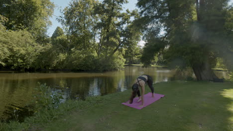 young woman doing upward and downward facing dog yoga exercise in beautiful park