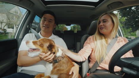 A-Young-Caucasian-Girl-Drives-The-Car-And-Communicates-With-Her-Asian-Boyfriend-With-A-Dog-In-Her-Ar