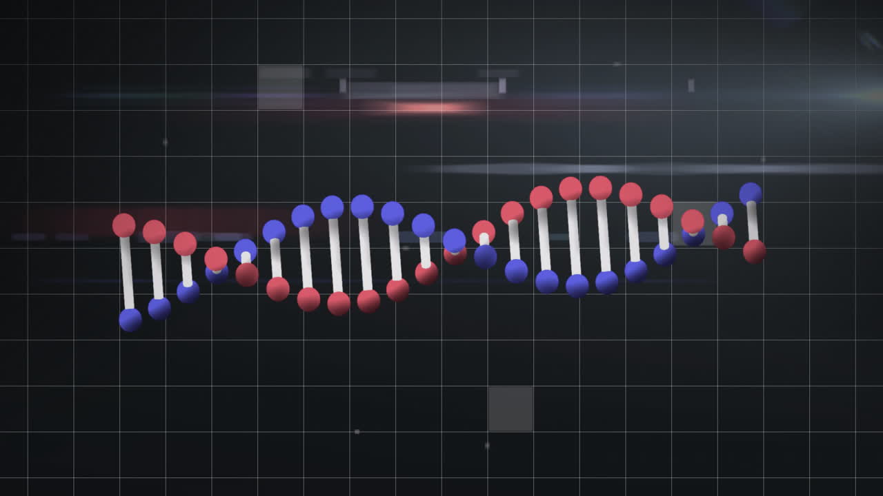 3D DNA double helix model rotating in digital interface, showing red-blue spheres and grid overlay