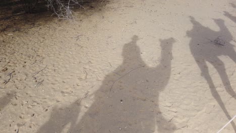 Silhouette-of-Camels-and-Riders-in-Thar-Desert-outside-Jaisalmer,-Rajasthan,-India