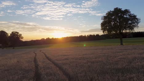 drone view as it flies over a field moving away from the sunset