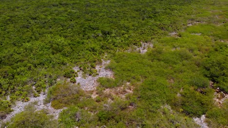 Stunning-drone-footage-of-Yal-Ku-Lagoon-with-its-crystal-clear-waters-and-lush-jungle