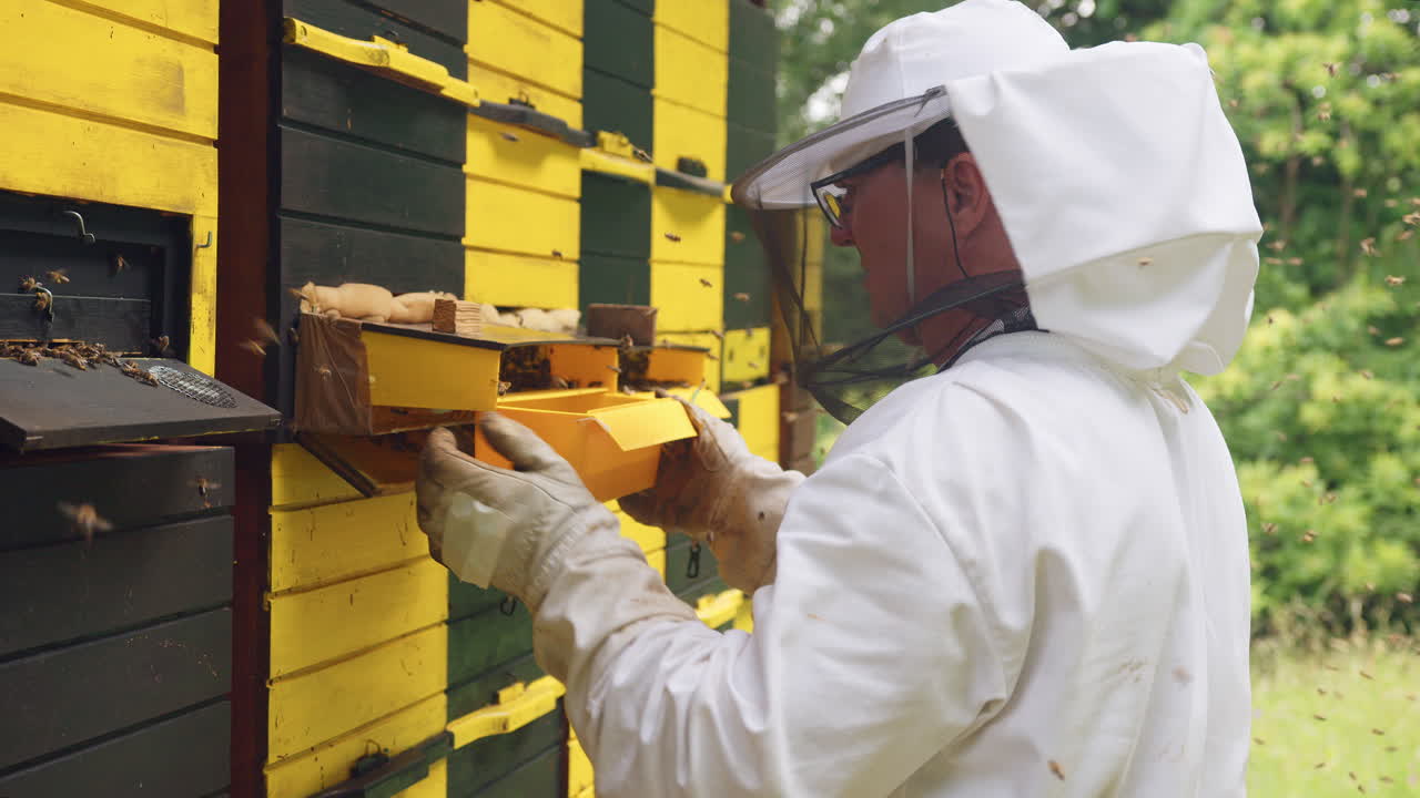 Apicoltore al lavoro in un apiario mentre uno sciame di api gli vola intorno, campo medio