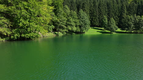 aerial shot of a lake with emerald green water