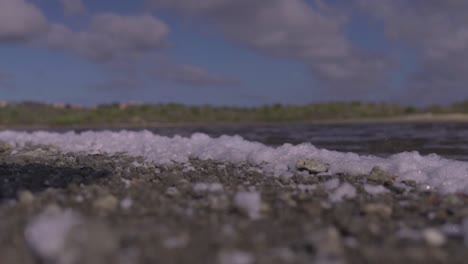 a low angled shot overlooking the pebbled rocky beach and distant ocean waters at caracas bay, the shoreline covered in white foam brought in by the tides of the caribbean sea, curaçao