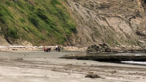 police, paramedics and park rangers walk back below the cliffs where the kids fell