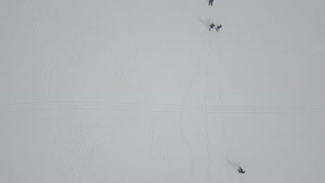 people snowshoeing on a frozen lake in minnesota