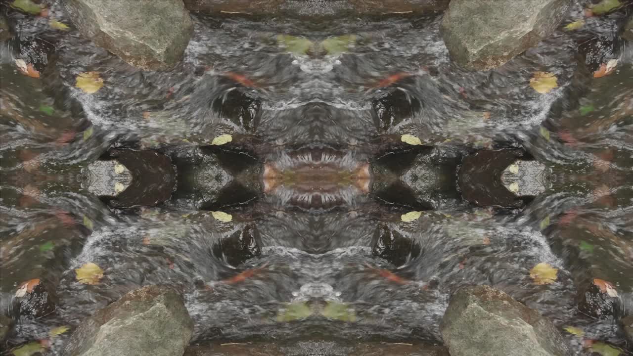 caleidoscopio de tomas de la naturaleza, wissahickon creek