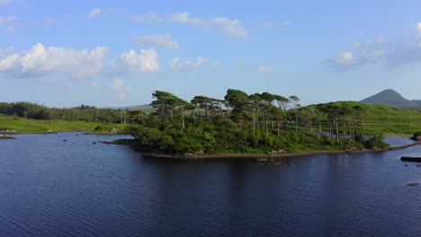 isla de pinos, derryclare lough, connemara, condado de galway, julio de 2021