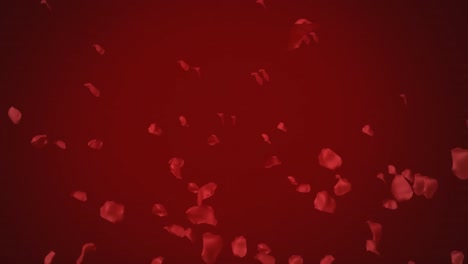 Animation-of-rose-petals-on-red-background