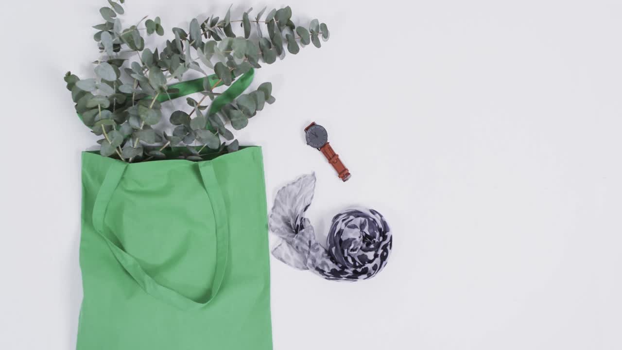 녹색 캔버스 가방의 비디오 식물, 스카프, 시계,  ⁇ 색 배경에 복사 공간